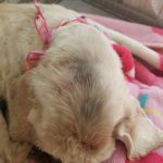 Thumbnail of post image 023