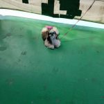 Thumbnail of post image 001