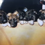 Thumbnail of post image 120